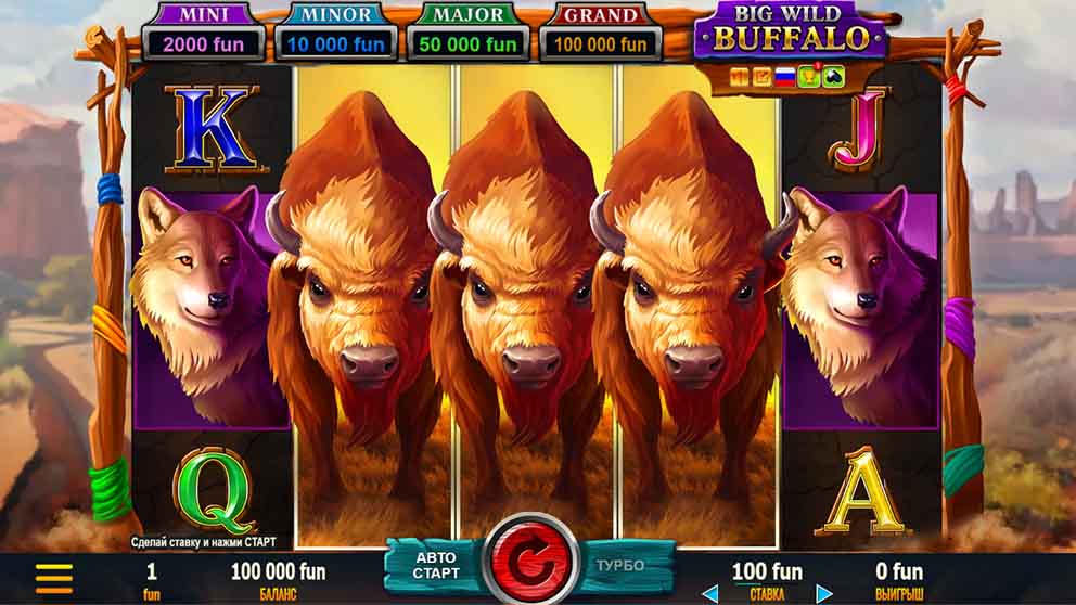 Big Wild Buffalo 2