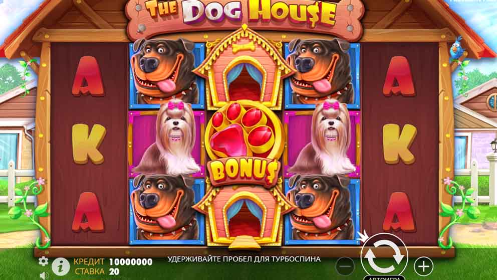 The Dog House 2